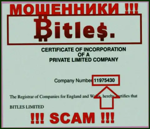 Номер регистрации internet мошенников Битлес Лтд, с которыми слишком опасно сотрудничать - 11975430