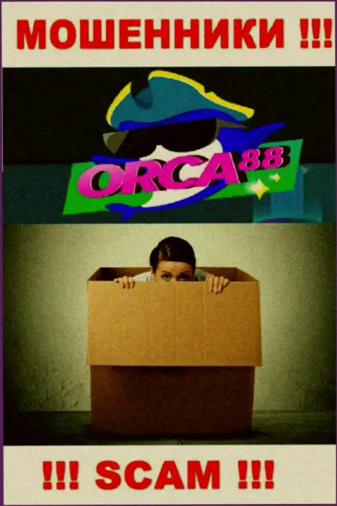 Начальство Orca88 засекречено, у них на официальном сайте этой информации нет