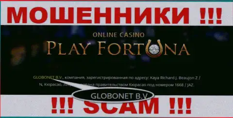 Данные о юр. лице PlayFortuna Com, ими оказалась организация GLOBONET B.V.