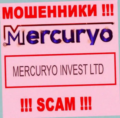 Юридическое лицо Меркурио - это Меркурио Инвест Лтд, такую информацию оставили мошенники у себя на web-портале