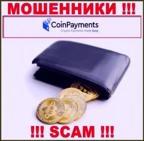 Будьте крайне осторожны, род деятельности Coin Payments, Криптовалютный кошелек - это кидалово !!!