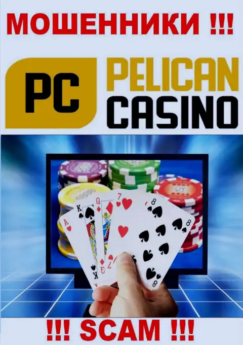 PelicanCasino Games оставляют без денег малоопытных клиентов, действуя в области - Казино