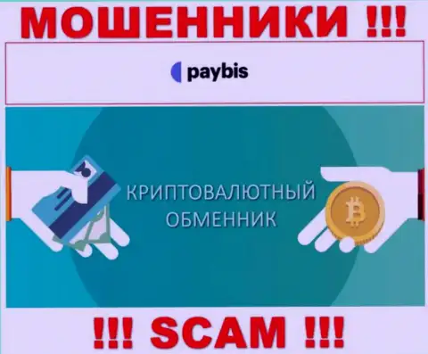 Крипто обменник - это направление деятельности противоправно действующей компании PayBis
