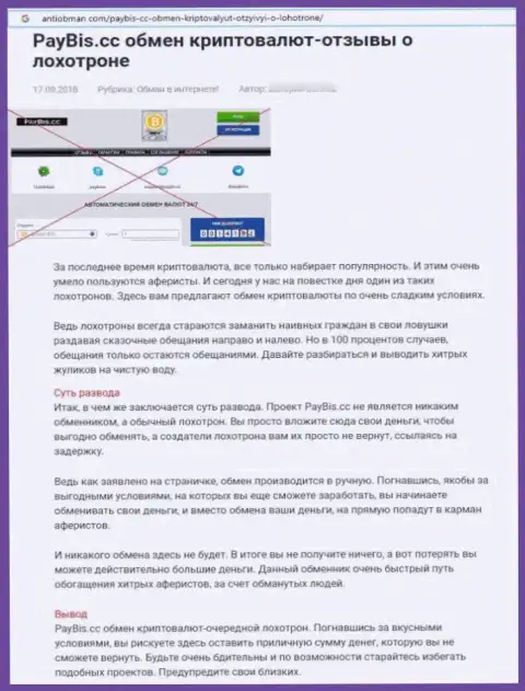 Обзор, раскрывающий схему незаконных деяний компании PayBis - это МОШЕННИКИ !!!