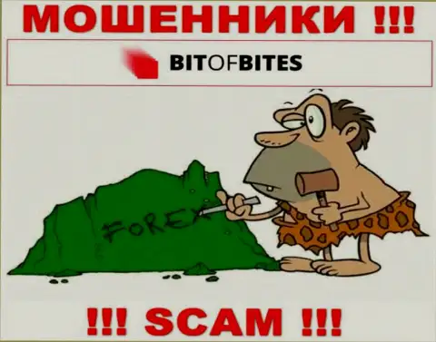 ФОРЕКС - это сфера деятельности интернет-мошенников БитОфБитес Ком