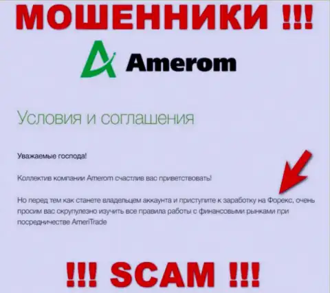 Не стоит доверять денежные активы Amerom, потому что их сфера деятельности, Форекс, обман