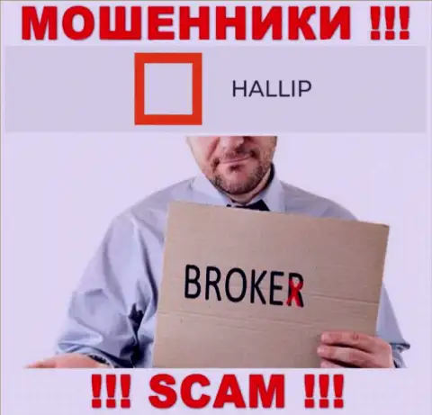 Направление деятельности интернет-кидал Hallip Com - это Брокер, однако помните это надувательство !