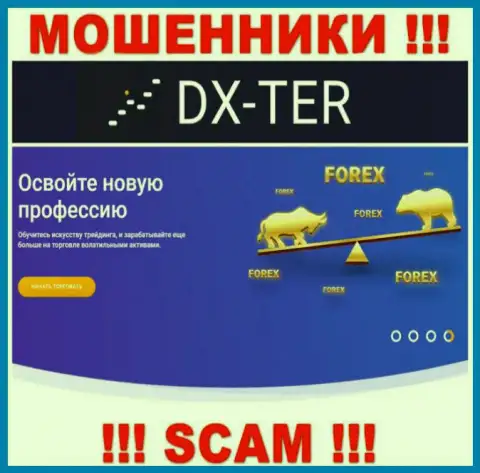 С DX Ter взаимодействовать очень рискованно, их направление деятельности FOREX - это капкан