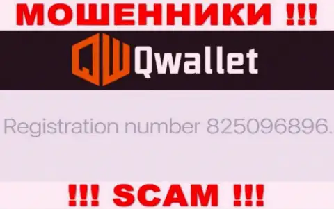 Компания Q Wallet засветила свой номер регистрации на официальном интернет-портале - 825096896