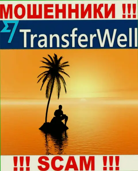 Юрисдикция TransferWell Net скрыта, поэтому перед перечислением денежных средств нужно подумать хорошо