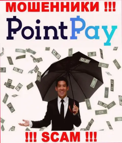 Не попадитесь на удочку internet-мошенников PointPay Io, финансовые вложения не вернете