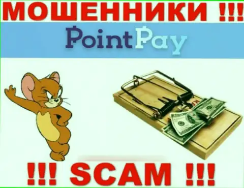 PointPay Io - это МОШЕННИКИ, не нужно верить им, если вдруг будут предлагать разогнать депозит