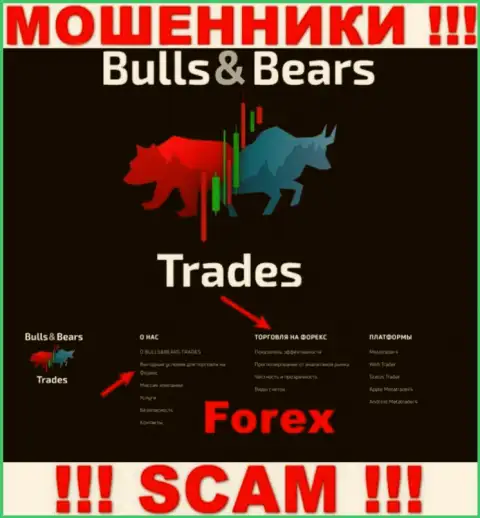 С Bulls Bears Trades, которые прокручивают свои делишки в сфере ФОРЕКС, не сможете заработать - это разводняк
