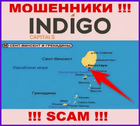 Мошенники Indigo Capitals базируются на оффшорной территории - Kingstown, St Vincent and the Grenadines