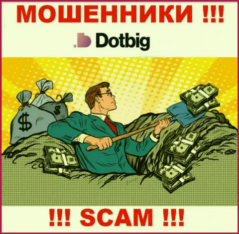 DotBig действует лишь на ввод денег, следовательно не ведитесь на дополнительные вклады