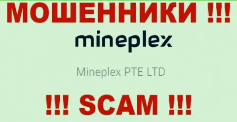 Руководителями MinePlex Io оказалась контора - Mineplex PTE LTD