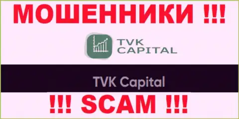 TVK Capital - это юридическое лицо обманщиков TVK Capital