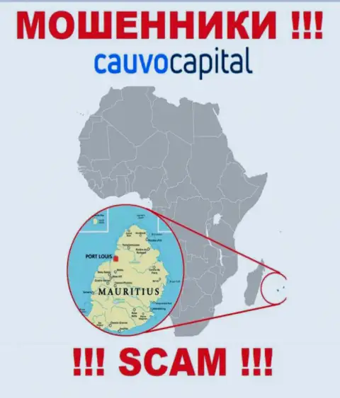 Компания CauvoCapital Com ворует вклады людей, расположившись в оффшорной зоне - Mauritius