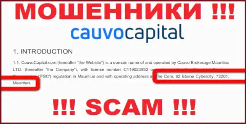 Невозможно забрать вклады у организации CauvoCapital - они осели в офшоре по адресу: The Core, 62 Ebene Cybercity, 72201, Mauritius