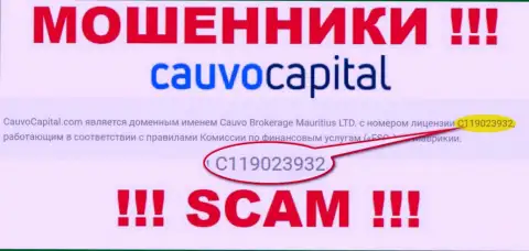 Мошенники Cauvo Capital нагло сливают своих клиентов, хотя и представили лицензию на интернет-портале