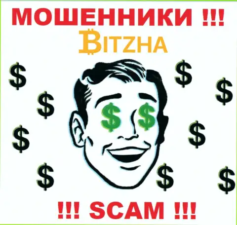 Организация Bitzha24 Com - это МОШЕННИКИ ! Орудуют противозаконно, ведь у них нет регулирующего органа
