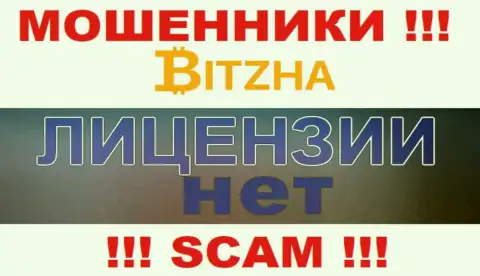 Ворам Bitzha 24 не дали лицензию на осуществление деятельности - сливают финансовые средства