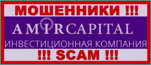 Логотип ВОРЮГ Амир Капитал