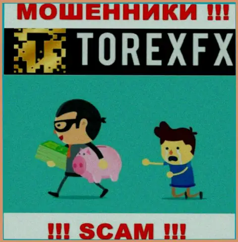 Довольно опасно совместно работать с дилером TorexFX Com - обманывают биржевых игроков